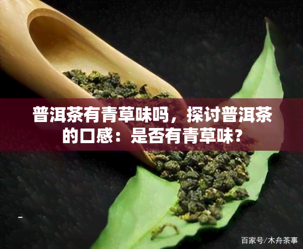 普洱茶有青草味吗，探讨普洱茶的口感：是否有青草味？