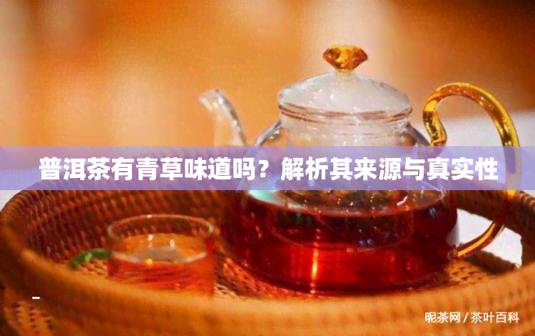 普洱茶有青草味道吗？解析其来源与真实性