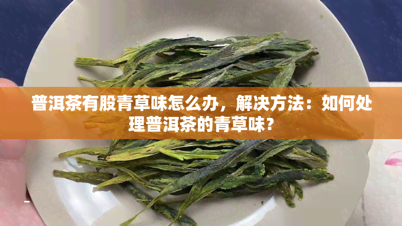 普洱茶有股青草味怎么办，解决方法：如何处理普洱茶的青草味？