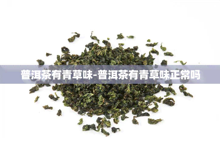 普洱茶有青草味-普洱茶有青草味正常吗