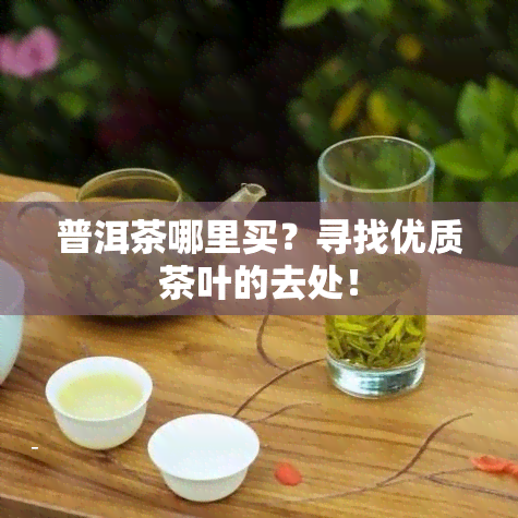 普洱茶哪里买？寻找优质茶叶的去处！