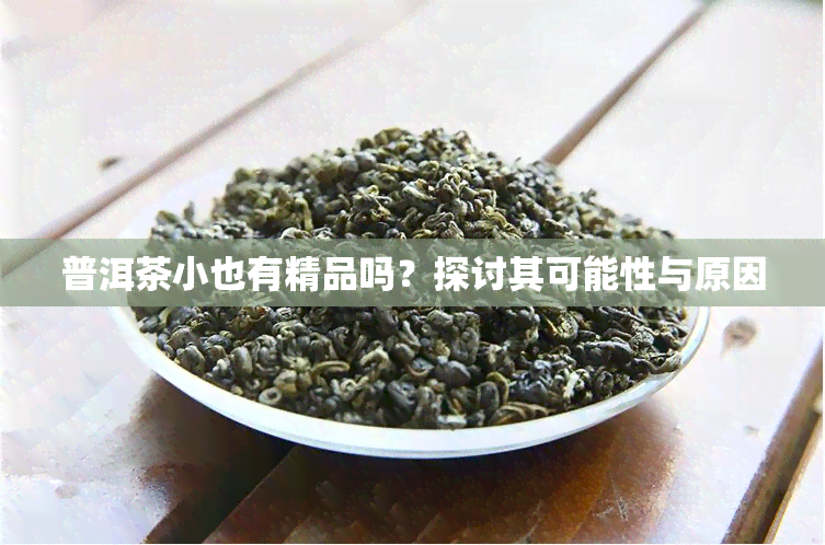 普洱茶小也有精品吗？探讨其可能性与原因