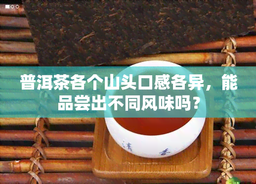 普洱茶各个山头口感各异，能品尝出不同风味吗？