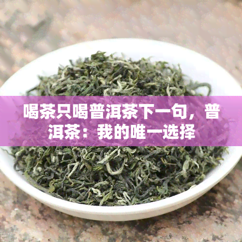 喝茶只喝普洱茶下一句，普洱茶：我的唯一选择