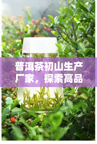 普洱茶初山生产厂家，探索高品质普洱茶：初山生产厂家的茶叶之旅