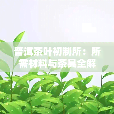 普洱茶叶初制所：所需材料与茶具全解析