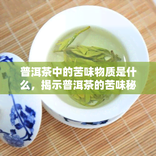 普洱茶中的苦味物质是什么，揭示普洱茶的苦味秘密：苦味物质究竟是什么？