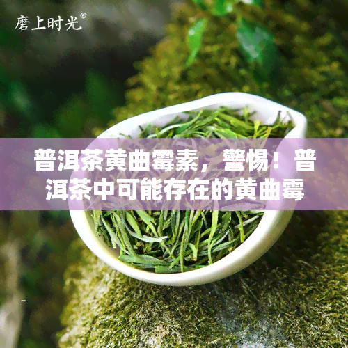 普洱茶黄曲霉素，警惕！普洱茶中可能存在的黄曲霉素风险