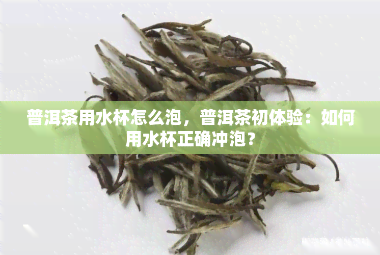 普洱茶用水杯怎么泡，普洱茶初体验：如何用水杯正确冲泡？