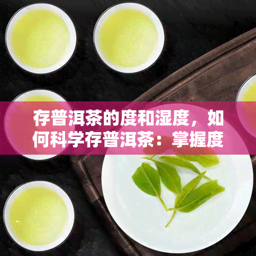 存普洱茶的度和湿度，如何科学存普洱茶：掌握度与湿度的关键