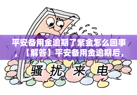 平安备用金逾期了紫金怎么回事，【解答】平安备用金逾期后，为何会出现紫金？