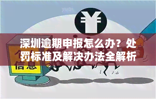 深圳逾期申报怎么办？处罚标准及解决办法全解析