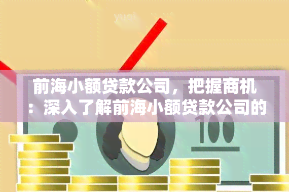 前海小额贷款公司，把握商机：深入了解前海小额贷款公司的业务模式与前景展望