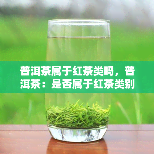 普洱茶属于红茶类吗，普洱茶：是否属于红茶类别？