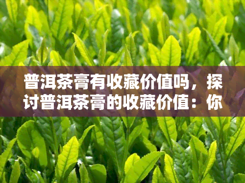 普洱茶膏有收藏价值吗，探讨普洱茶膏的收藏价值：你是否应该投资？