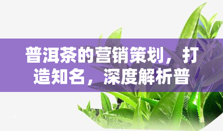 普洱茶的营销策划，打造知名，深度解析普洱茶的营销策略