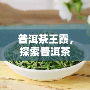 普洱茶王霞，探索普洱茶的王者：走进霞山茶园