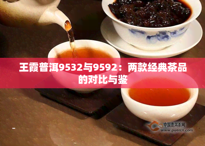 王霞普洱9532与9592：两款经典茶品的对比与鉴