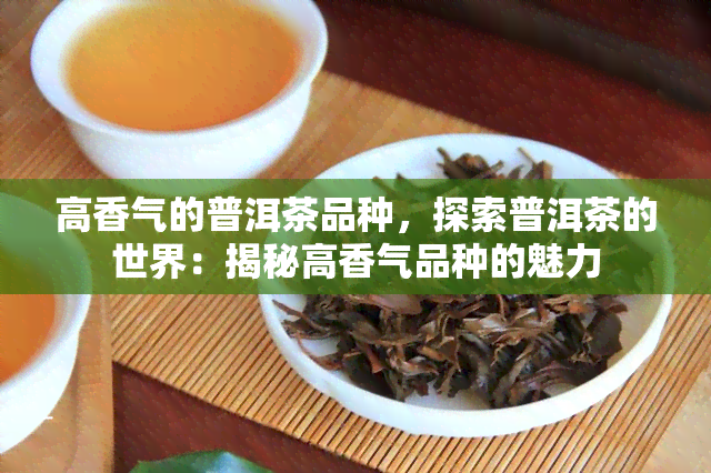 高香气的普洱茶品种，探索普洱茶的世界：揭秘高香气品种的魅力