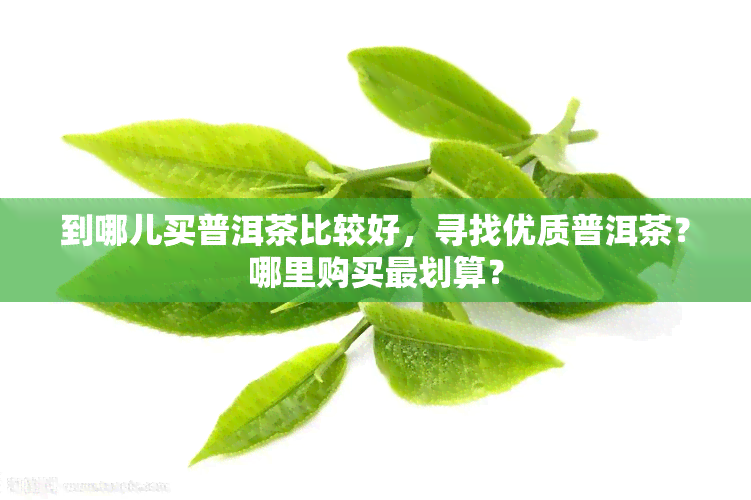 到哪儿买普洱茶比较好，寻找优质普洱茶？哪里购买最划算？