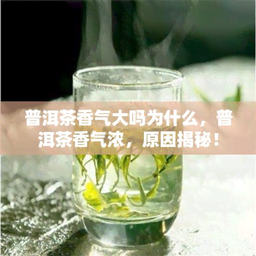 普洱茶香气大吗为什么，普洱茶香气浓，原因揭秘！