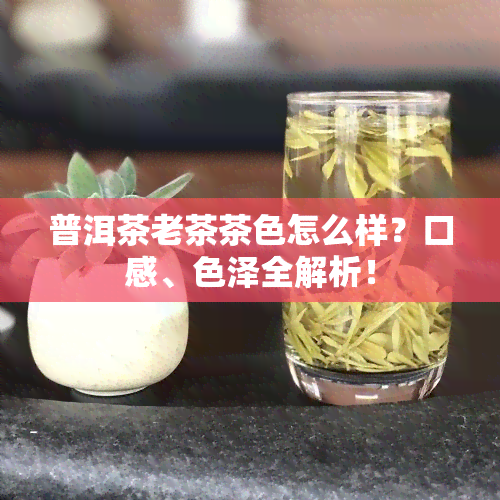 普洱茶老茶茶色怎么样？口感、色泽全解析！