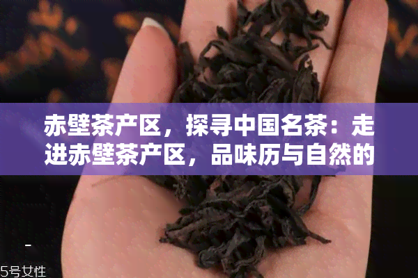 赤壁茶产区，探寻中国名茶：走进赤壁茶产区，品味历与自然的交融