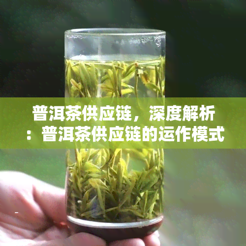 普洱茶供应链，深度解析：普洱茶供应链的运作模式与管理策略