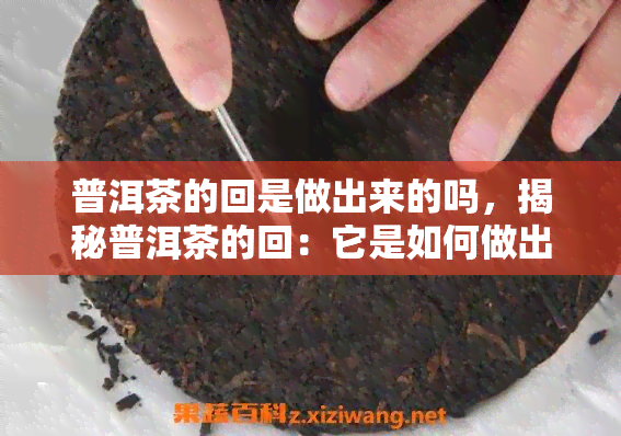 普洱茶的回是做出来的吗，揭秘普洱茶的回：它是如何做出来的？