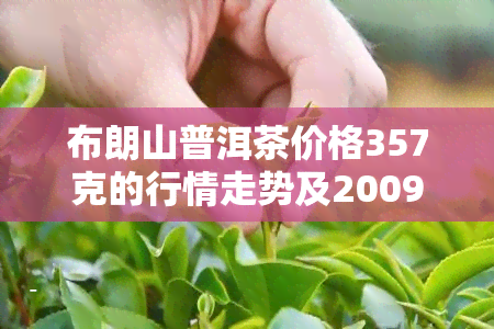 布朗山普洱茶价格357克的行情走势及2009年价格回顾