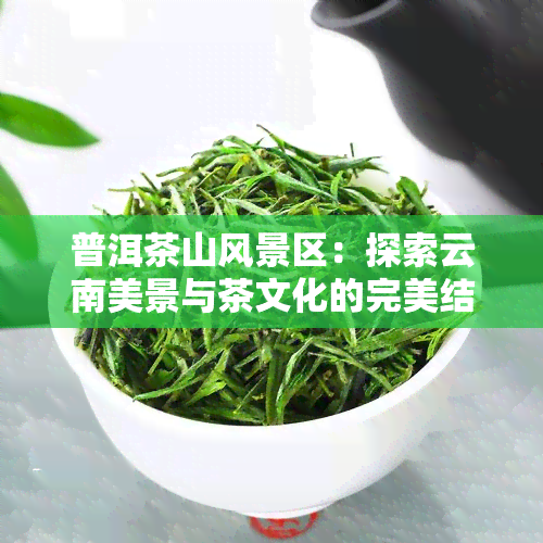 普洱茶山风景区：探索云南美景与茶文化的完美结合