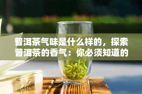 普洱茶气味是什么样的，探索普洱茶的香气：你必须知道的味道特征