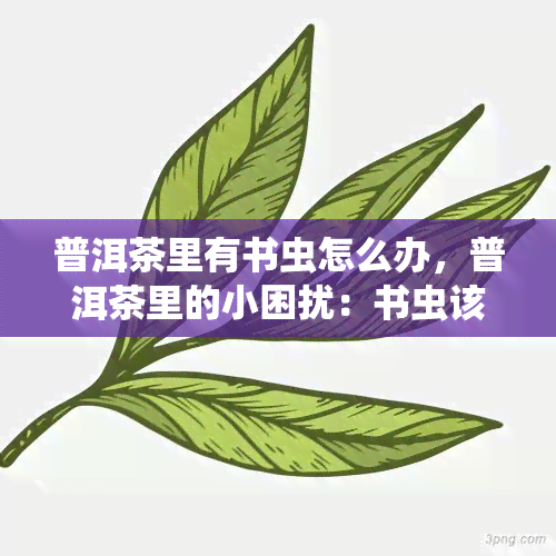 普洱茶里有书虫怎么办，普洱茶里的小困扰：书虫该怎么办？