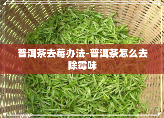 普洱茶去莓办法-普洱茶怎么去除霉味