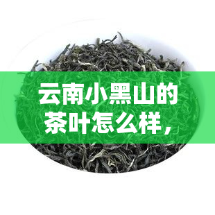 云南小黑山的茶叶怎么样，探秘云南小黑山：茶叶品质如何？