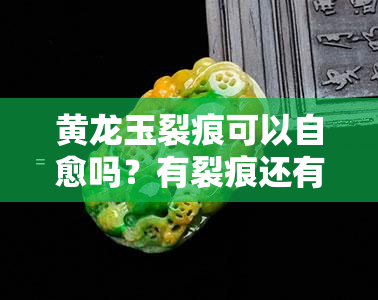 黄龙玉裂痕可以自愈吗？有裂痕还有影响吗？还能养活吗？