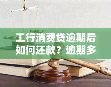 工行消费贷逾期后如何还款？逾期多久会上？逾期一天怎么办？工商银行消费贷还款流程是什么？查违约需要多长时间？