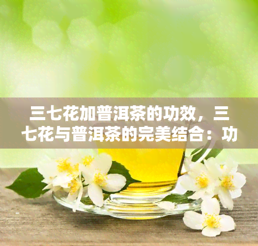 三七花加普洱茶的功效，三七花与普洱茶的完美结合：功效解析