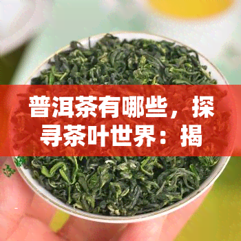 普洱茶有哪些，探寻茶叶世界：揭秘知名的普洱茶