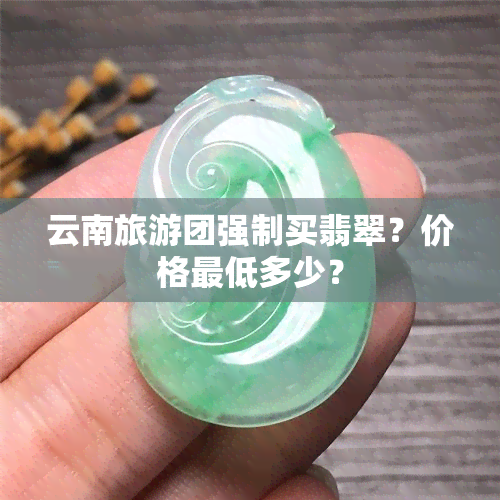 云南旅游团强制买翡翠？价格更低多少？