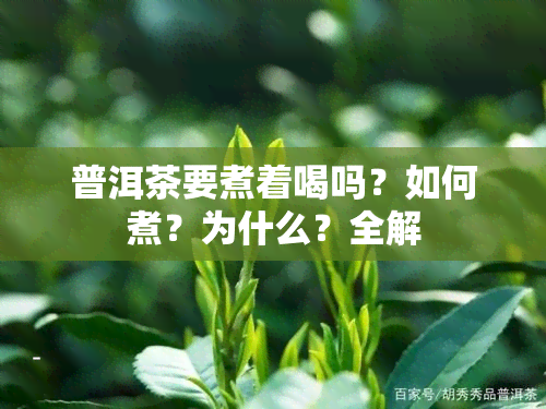 普洱茶要煮着喝吗？如何煮？为什么？全解