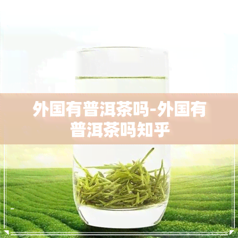 外国有普洱茶吗-外国有普洱茶吗知乎