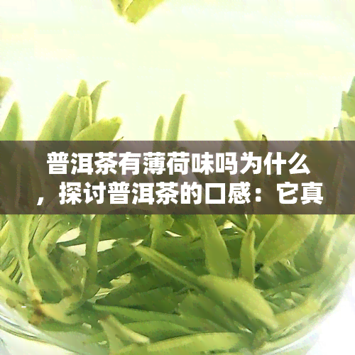 普洱茶有薄荷味吗为什么，探讨普洱茶的口感：它真的有薄荷味吗？为什么？