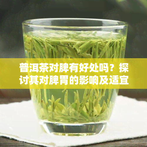 普洱茶对脾有好处吗？探讨其对脾胃的影响及适宜人群