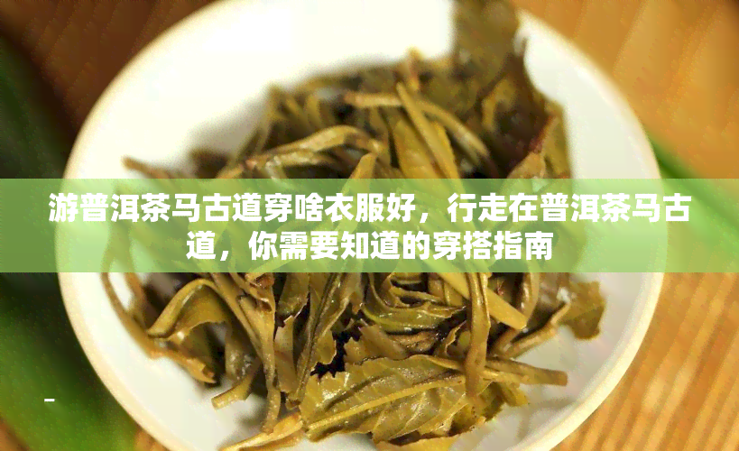 游普洱茶马古道穿啥衣服好，行走在普洱茶马古道，你需要知道的穿搭指南