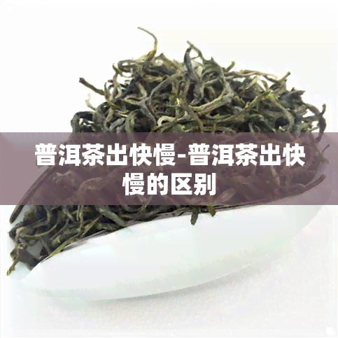 普洱茶出快慢-普洱茶出快慢的区别