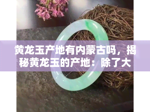 黄龙玉产地有内蒙古吗，揭秘黄龙玉的产地：除了大家熟知的地方，还有内蒙古？