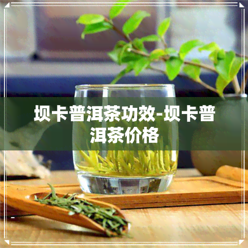 坝卡普洱茶功效-坝卡普洱茶价格