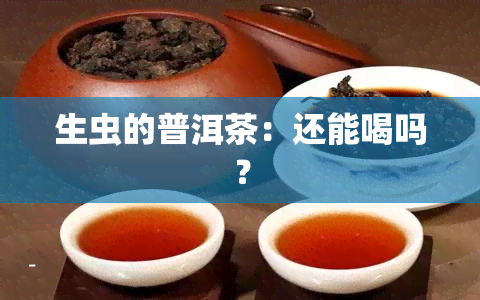 生虫的普洱茶：还能喝吗？