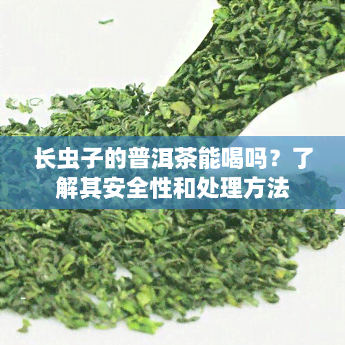 长虫子的普洱茶能喝吗？了解其安全性和处理方法